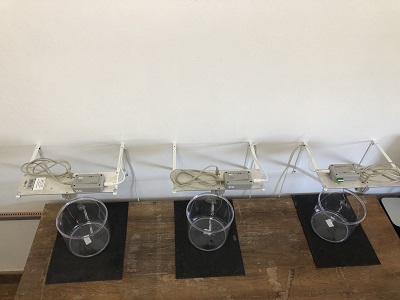 Sistema EEG por cabo