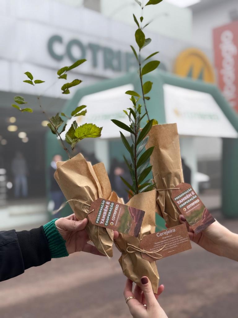 WhatsApp Image 2025-05-31 at 19.46.54 (2)