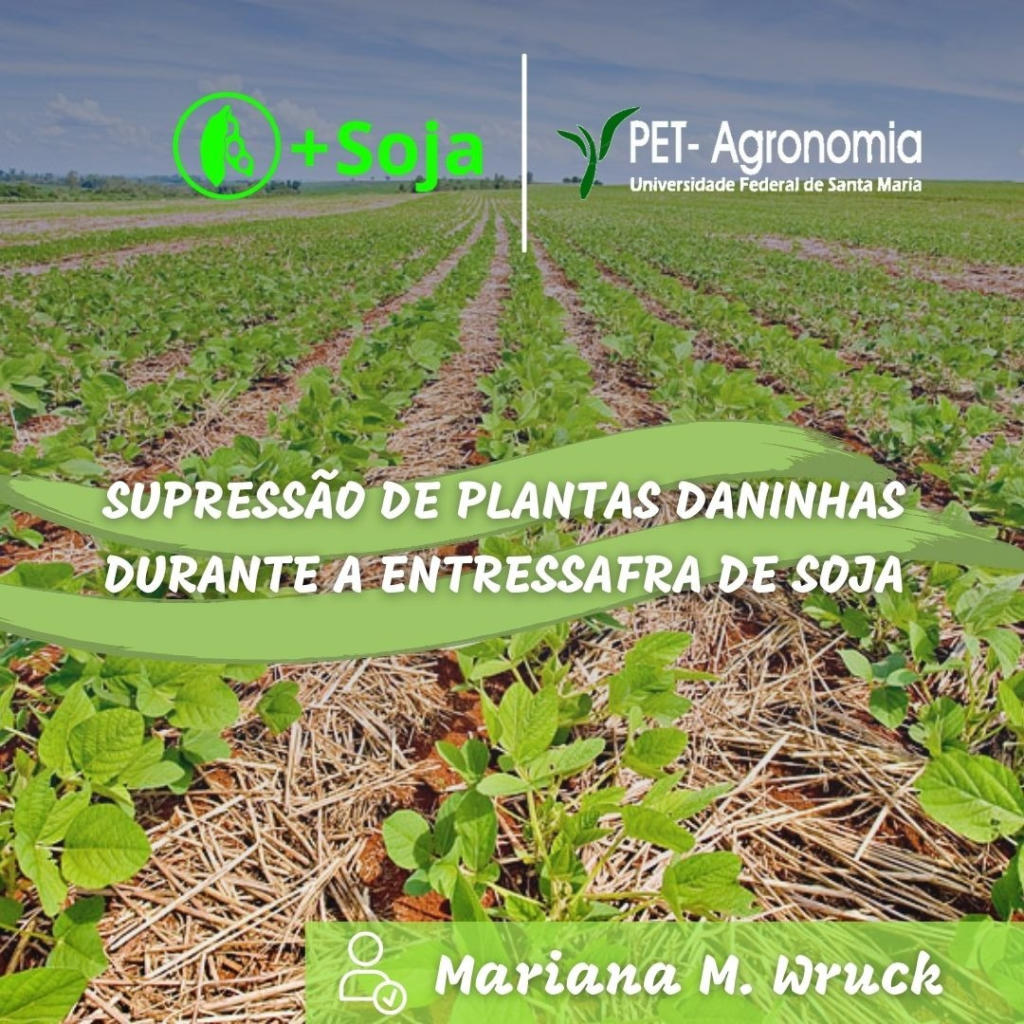 MANEJO DE PLANTAS DANINHAS DA SOJA. .pptx