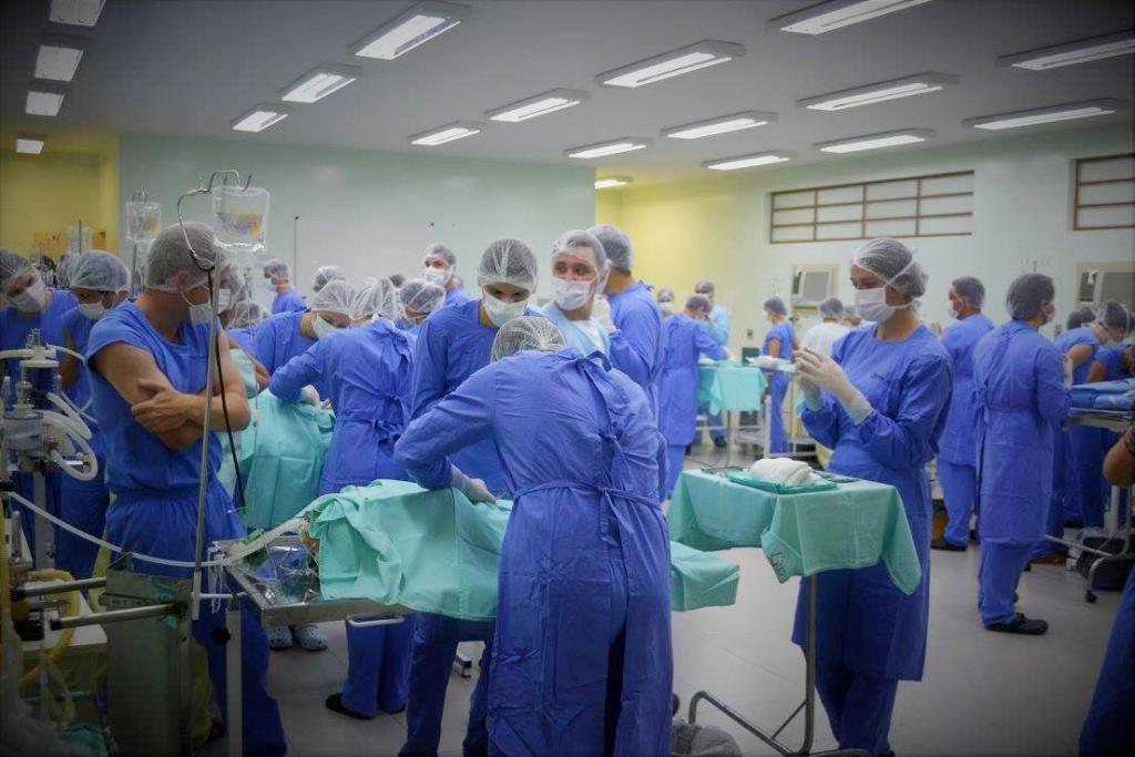 Equipe da medicina veterinária realizando uma cirurgia