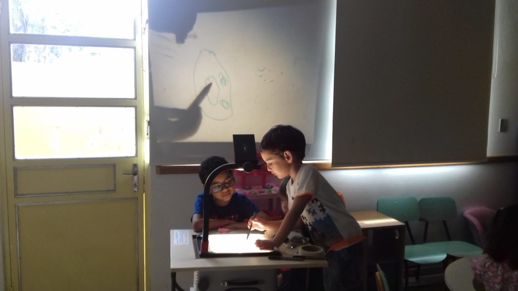 Duas crianças mexando em projeção de sombras na parede