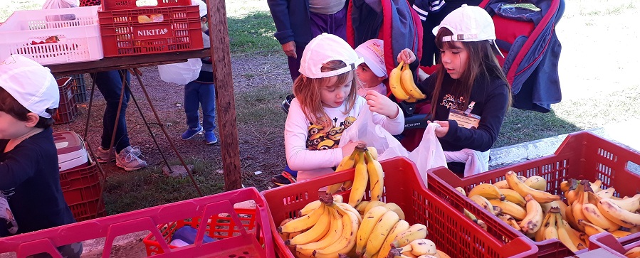 Crianças mexendo em cesto de bananas na feira
