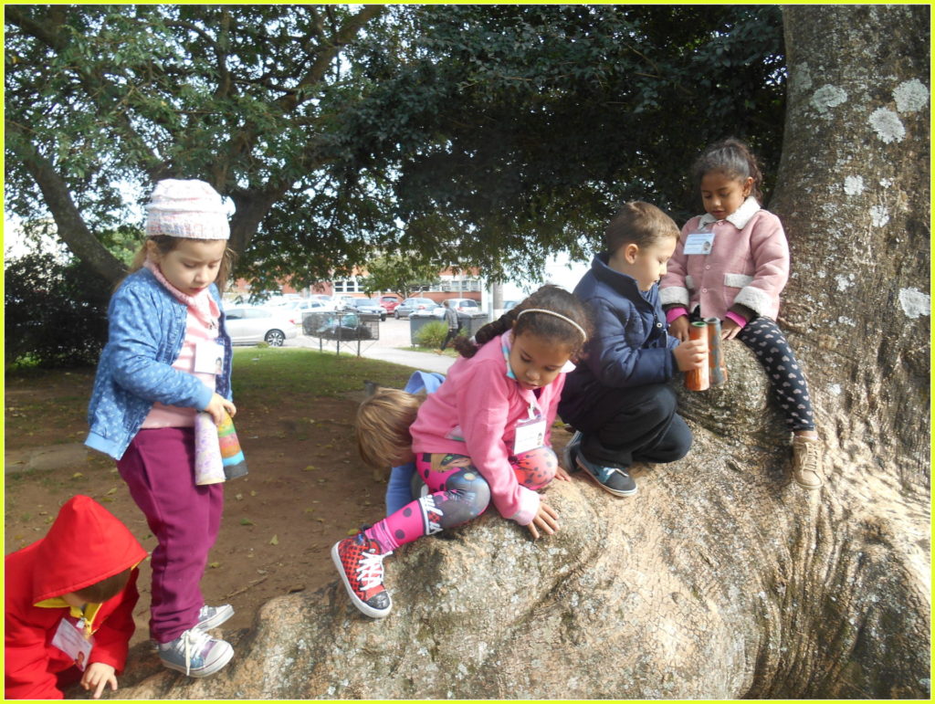 Crianças sentadas em raíz enorme de árvore