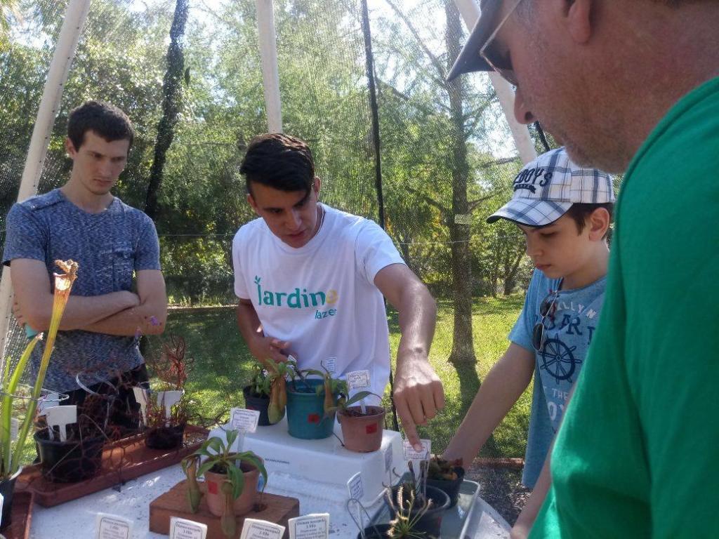 Quatro pessoas no Jardim Botânico em torno de uma mesa com plantas