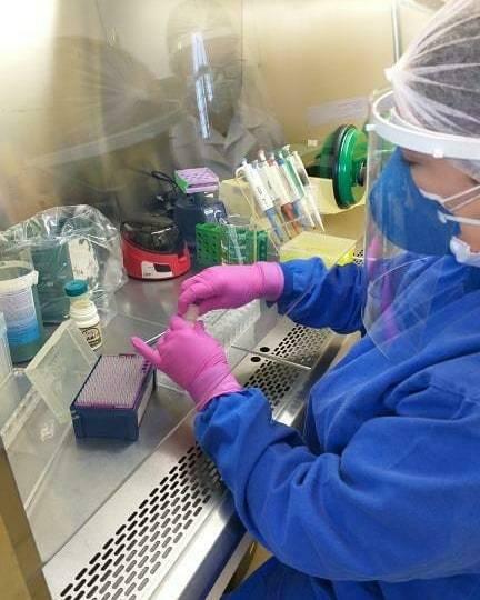 Pessoa vestida de jaleco azul trabalhando com tubos de laboratório em bancada