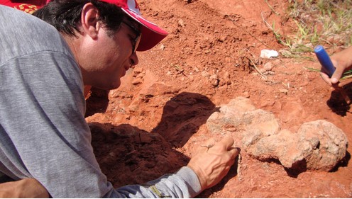 Pessoa escavando fósseis na terra