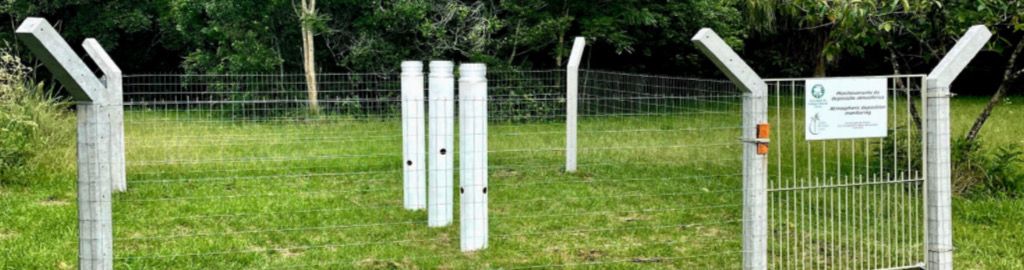 WhatsApp Image 2025-12-16 at 3.40.24 PM (1)