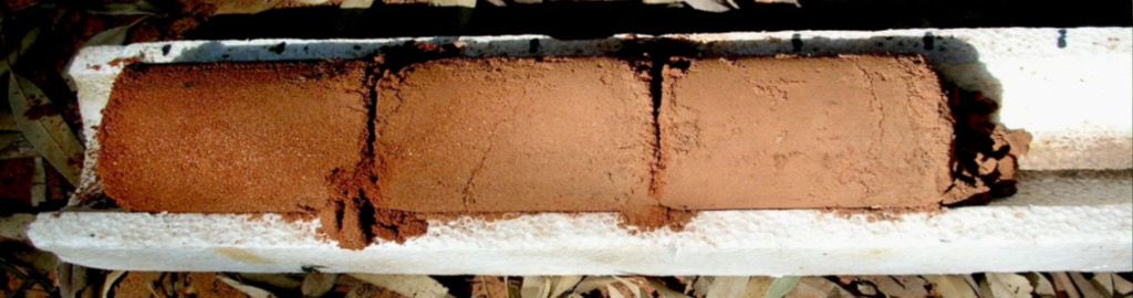 WhatsApp Image 2025-12-16 at 3.40.24 PM (2)