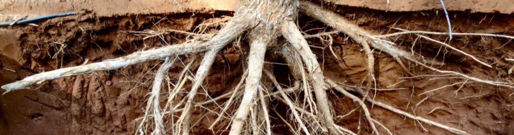 WhatsApp Image 2025-12-16 at 3.40.24 PM (3)