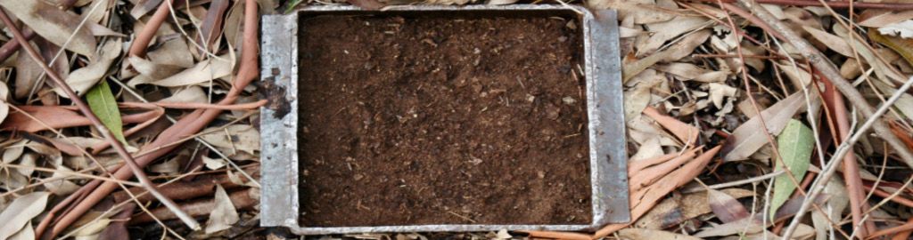 WhatsApp Image 2025-12-16 at 3.40.24 PM