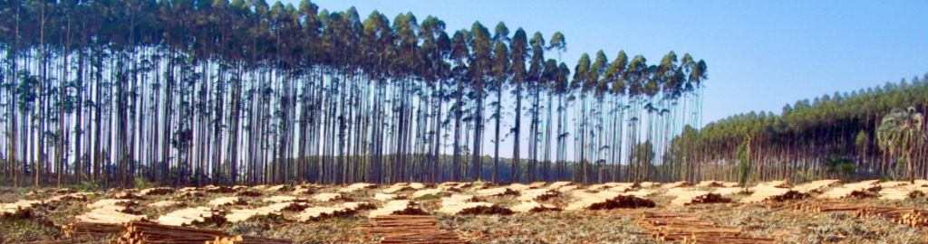 WhatsApp Image 2025-12-16 at 3.40.25 PM