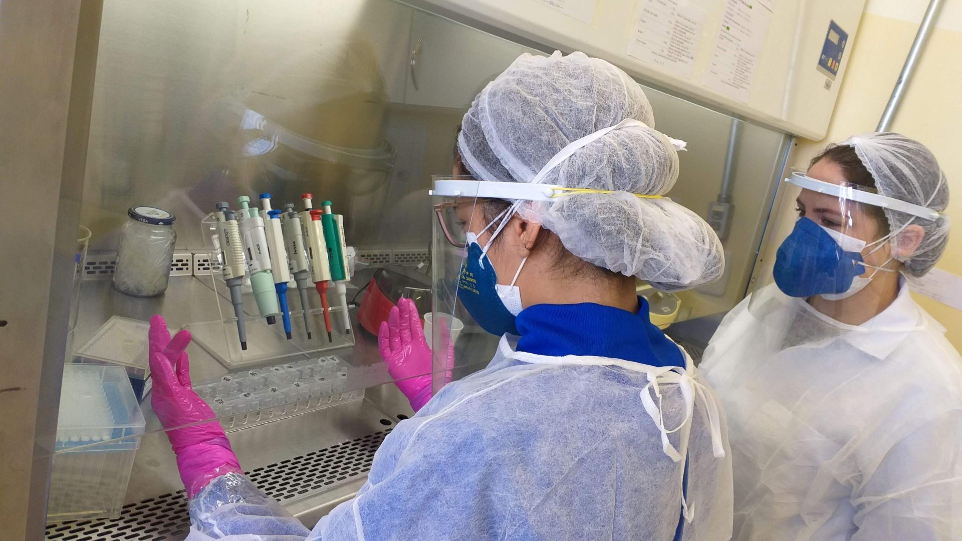 Diagnóstico molecular de SARS-Cov-2