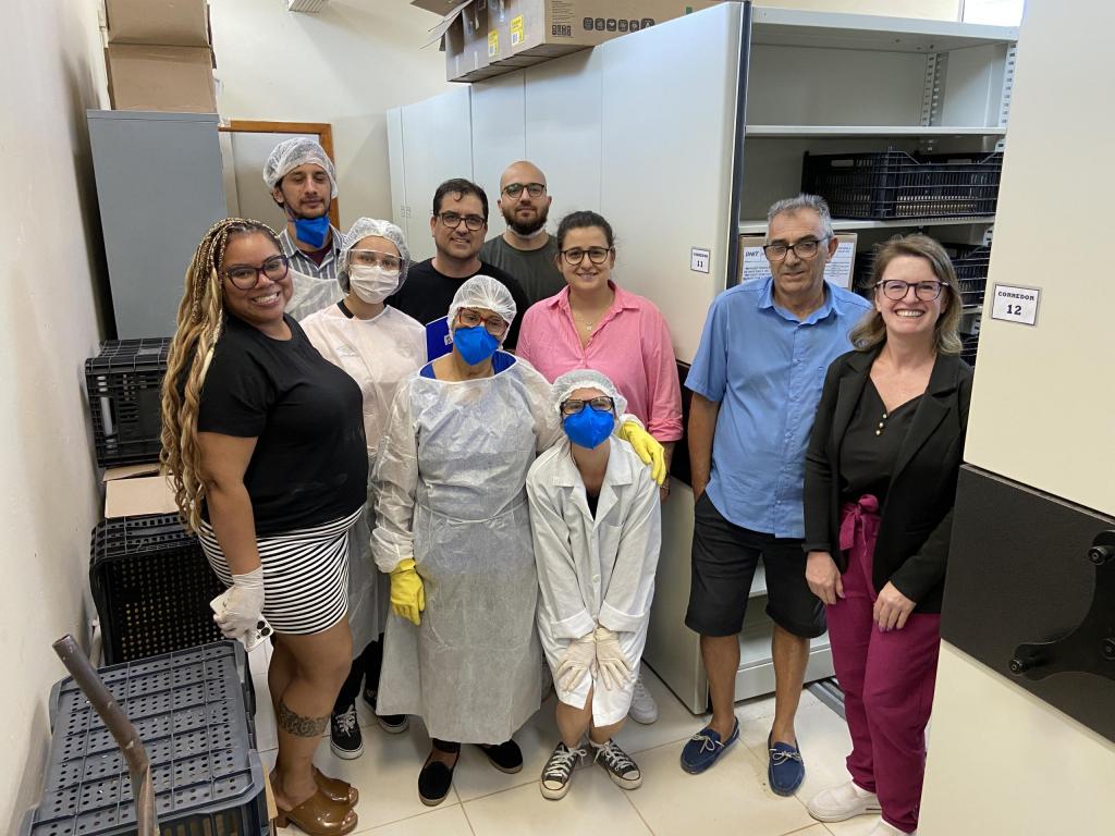 Equipe recebendo arquivos