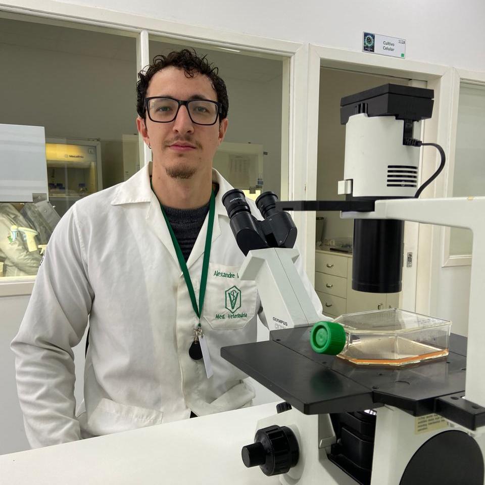 Alexandre Werle Soares