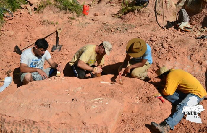 Equipe de paleontólogos delimita o tamanho da rocha a ser extraido