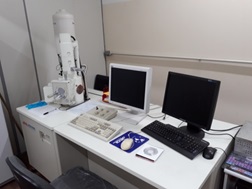 microscopio eletronico