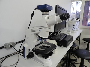 Microscpio Trinocular cCmera AxioLab A1