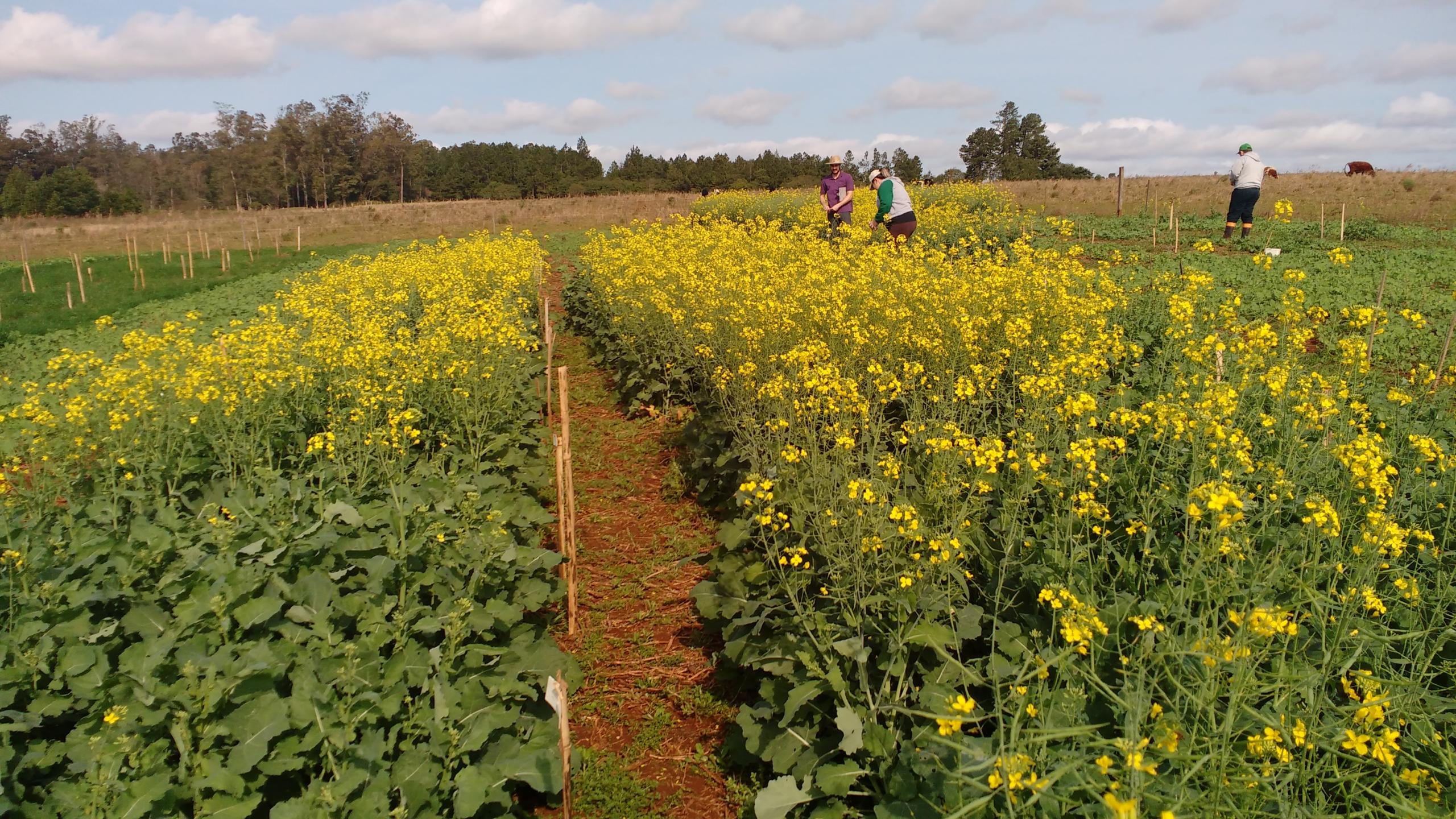 IMG 20170810 142613433