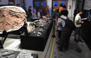 Mostra Paleontológica (CAPPA)