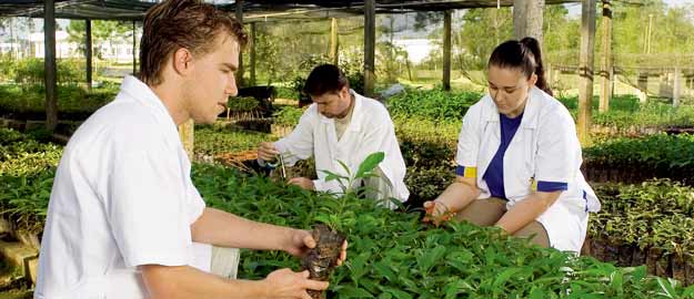 eng. florestal 625x270