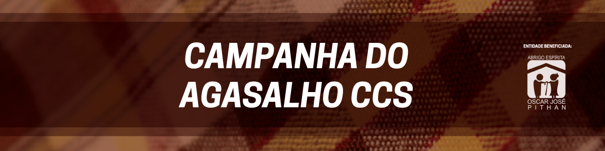 ccs campanha do agasalho banner para site b 04