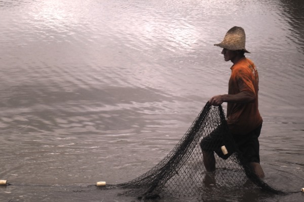 Semin rio Piscicultura