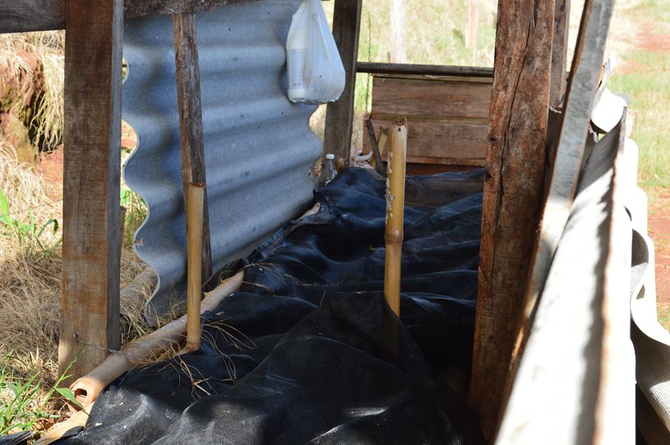 11149167 938853772811861 1192968710 n