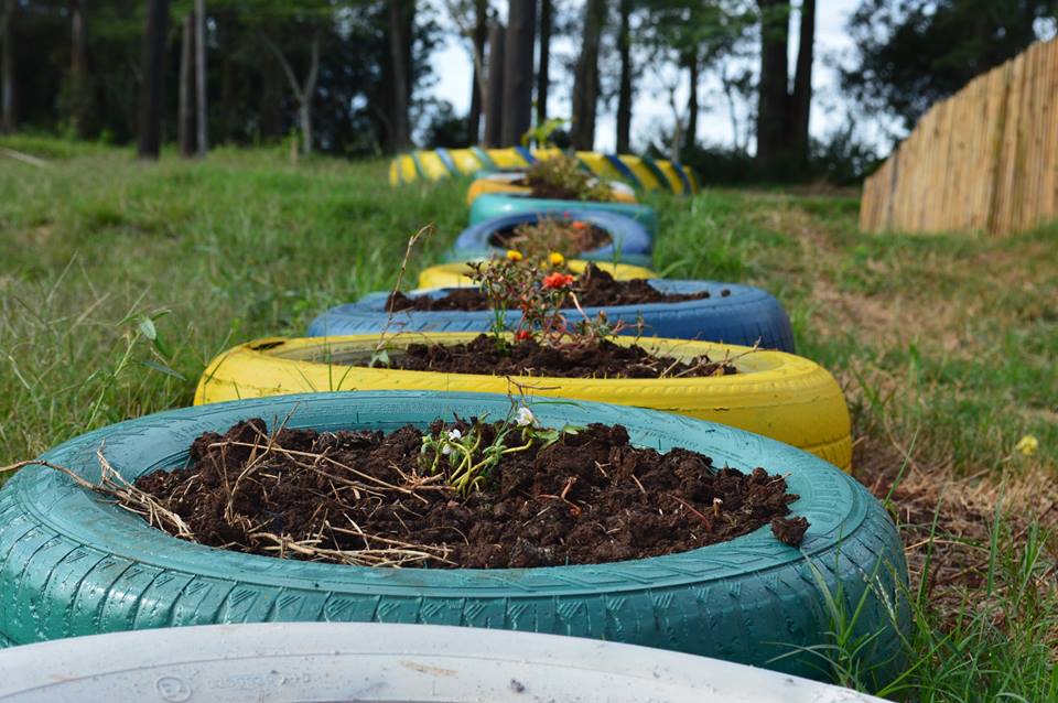 11169061 938853759478529 807692123 n