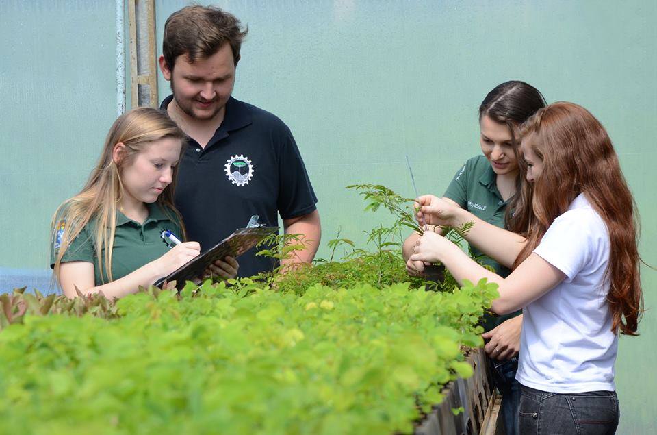 10759 705906342838849 2247745782287559597 n