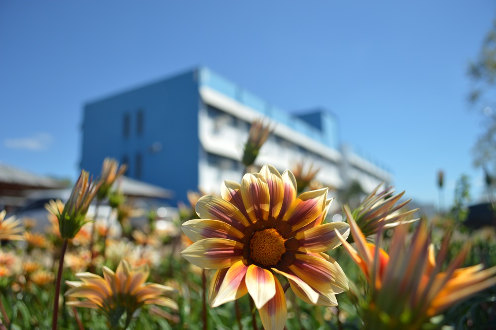 21 Everton de Oliveira Cabral