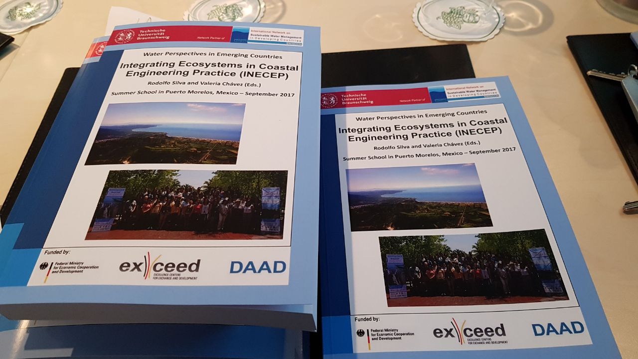 Capa Livro INECP 2017