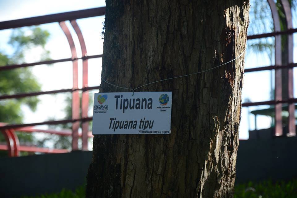 30571519 562780054107855 8300009670861389824 n