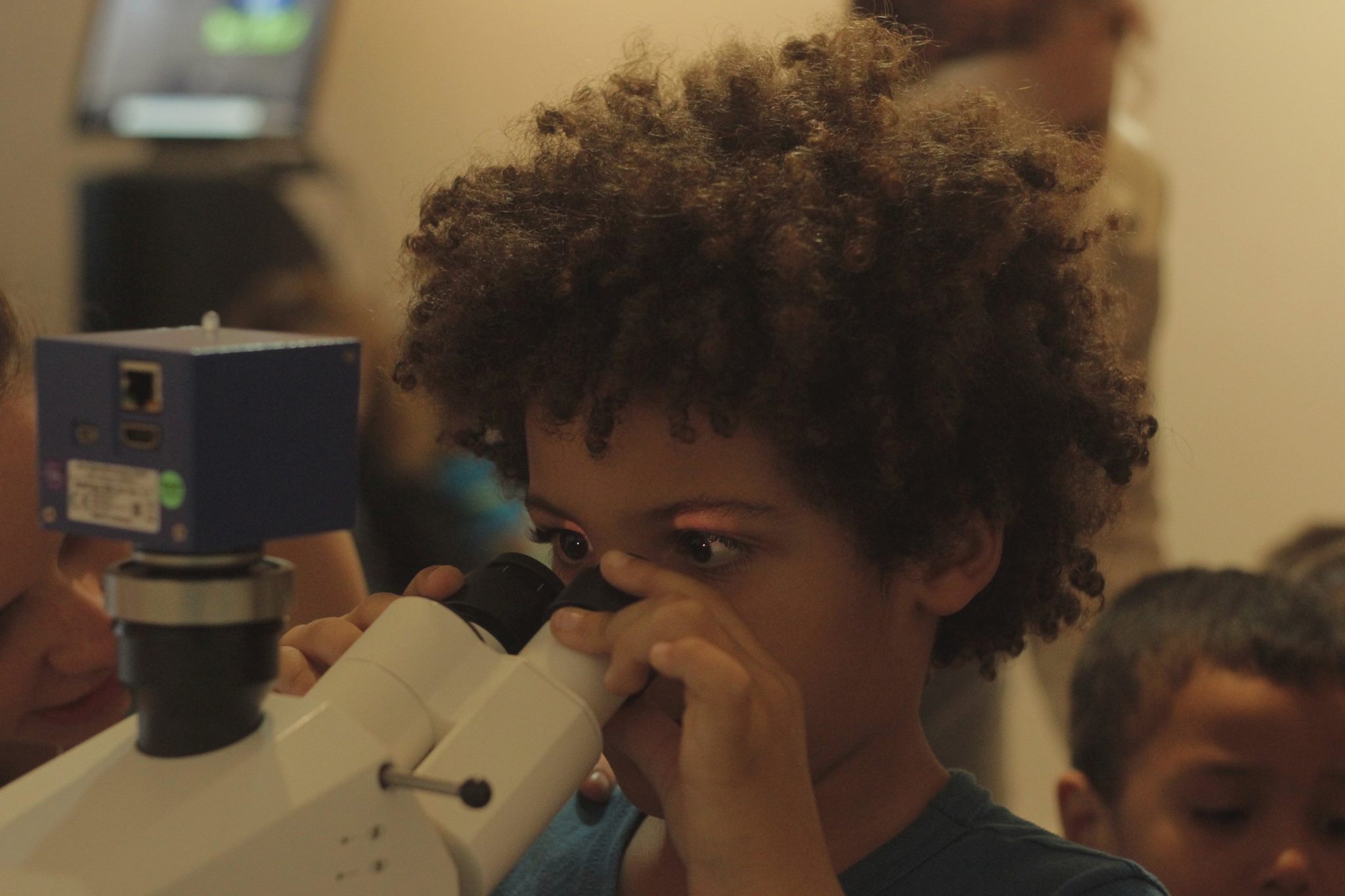 12795170 888067031290903 4091257200478380540 o