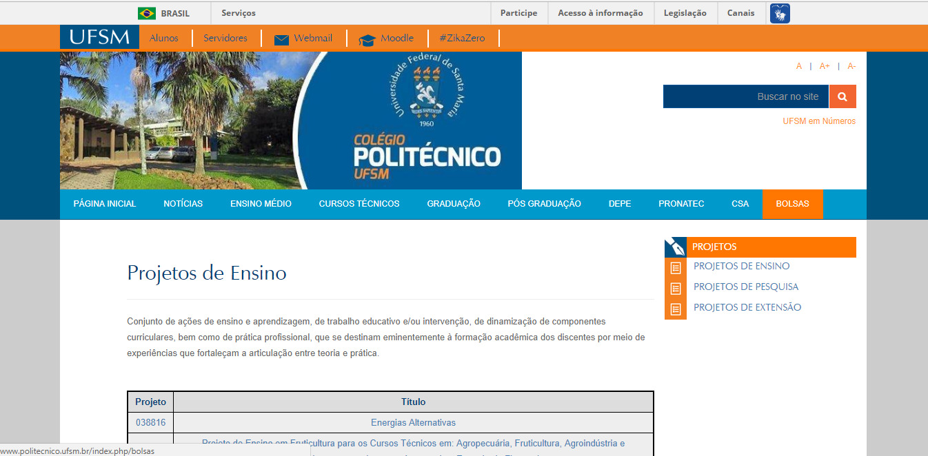 print site poli bolsas